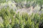 Land/Lot