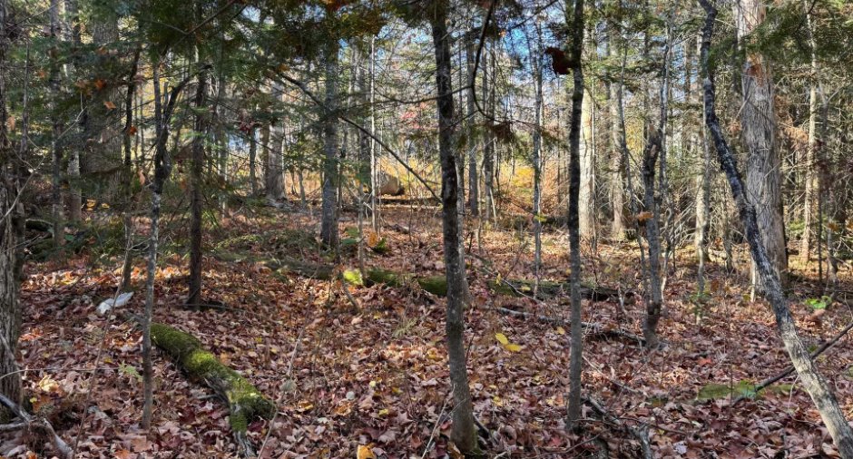 Terre/Terrain