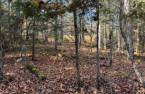 Terre/Terrain