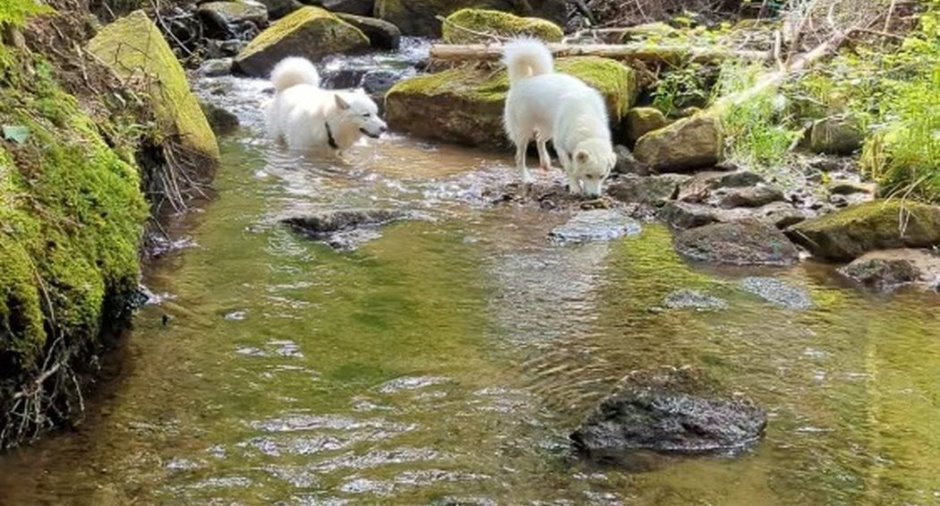 Bord de l'eau