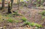 Terre/Terrain