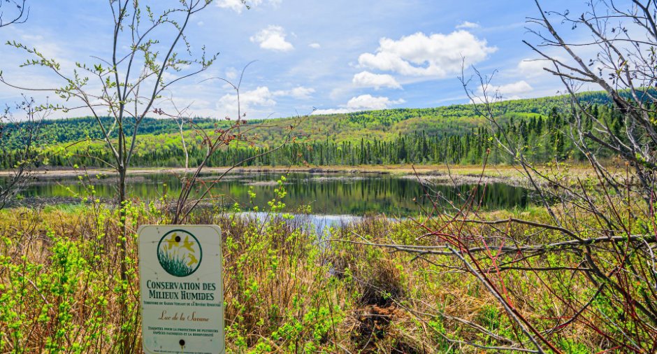 Vue sur l'eau