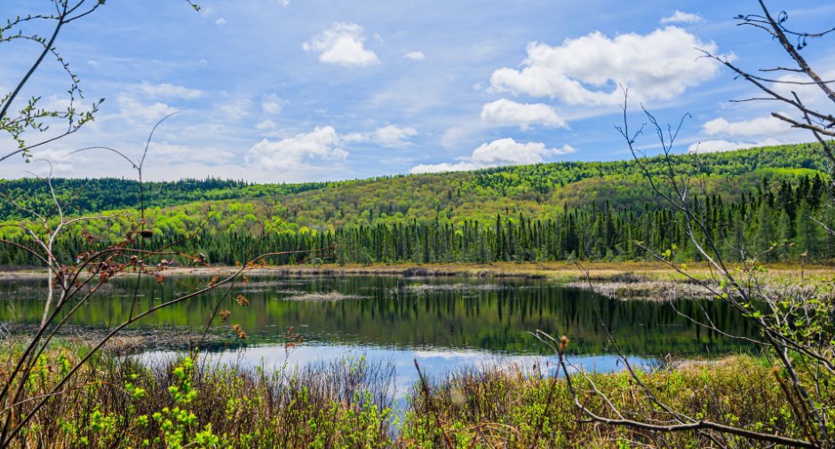 Vue sur l'eau
