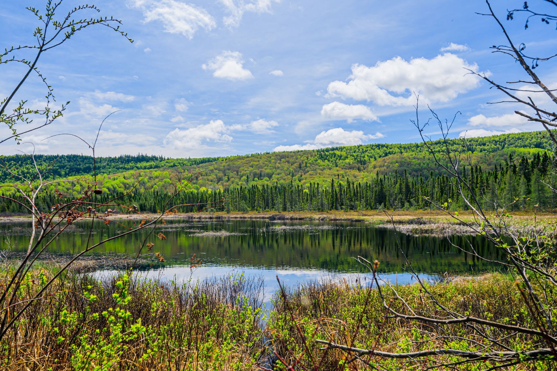Vue sur l'eau