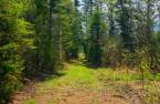 Terre/Terrain