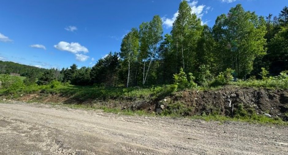 Terre/Terrain