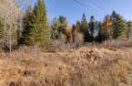 Terre/Terrain