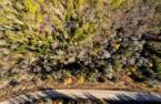 Terre/Terrain