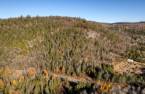 Terre/Terrain