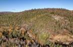 Terre/Terrain