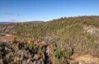 Terre/Terrain