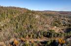 Terre/Terrain