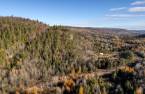 Terre/Terrain