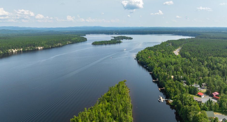 Vue