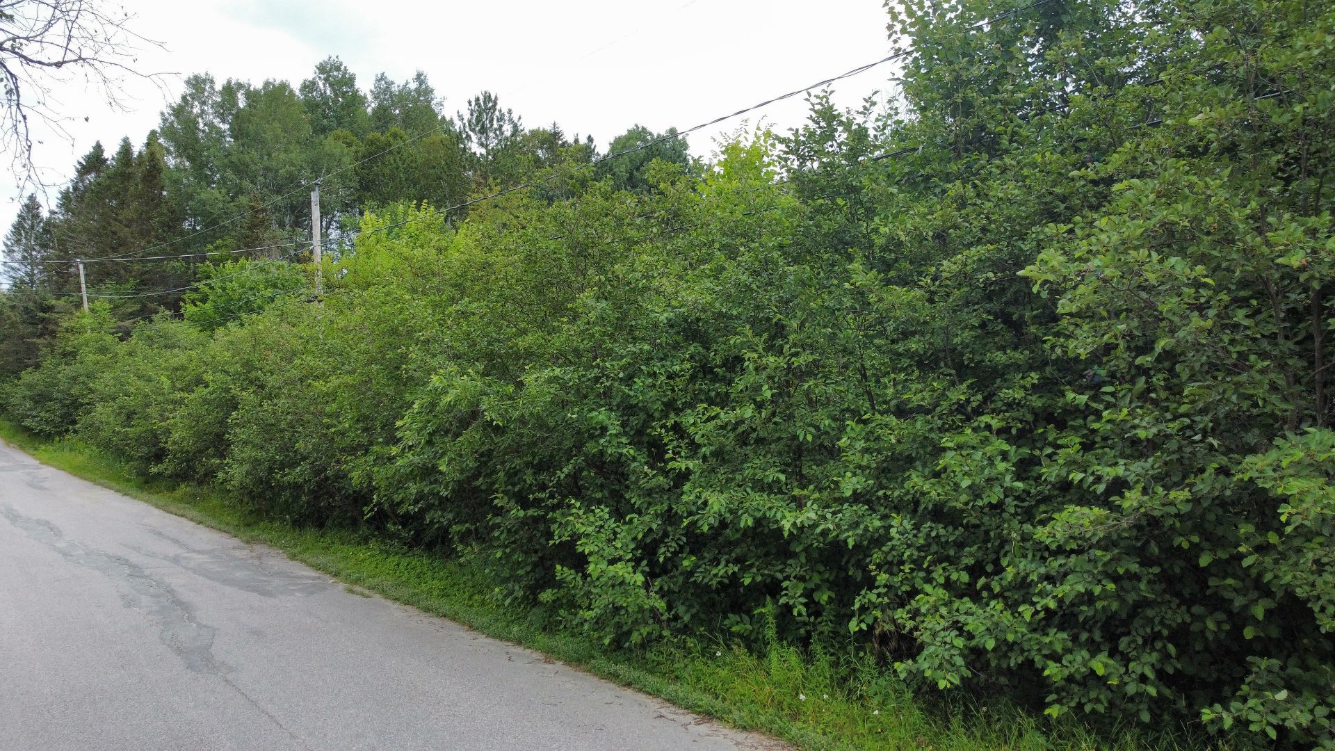 Mtée Foisy — photo 1