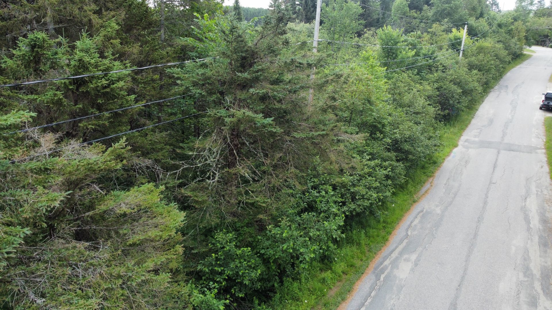 Mtée Foisy — photo 2