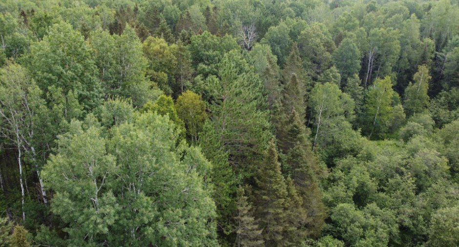 Vue d'ensemble