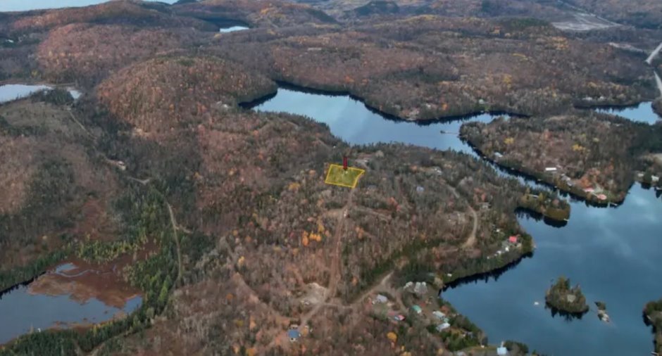 Overall View