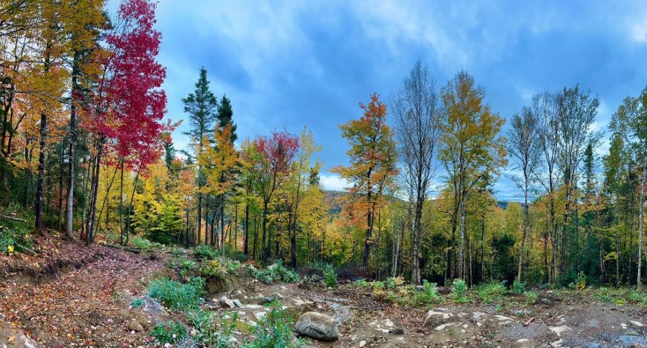 Land/Lot