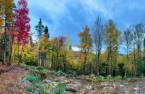 Land/Lot