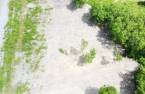 Terre/Terrain