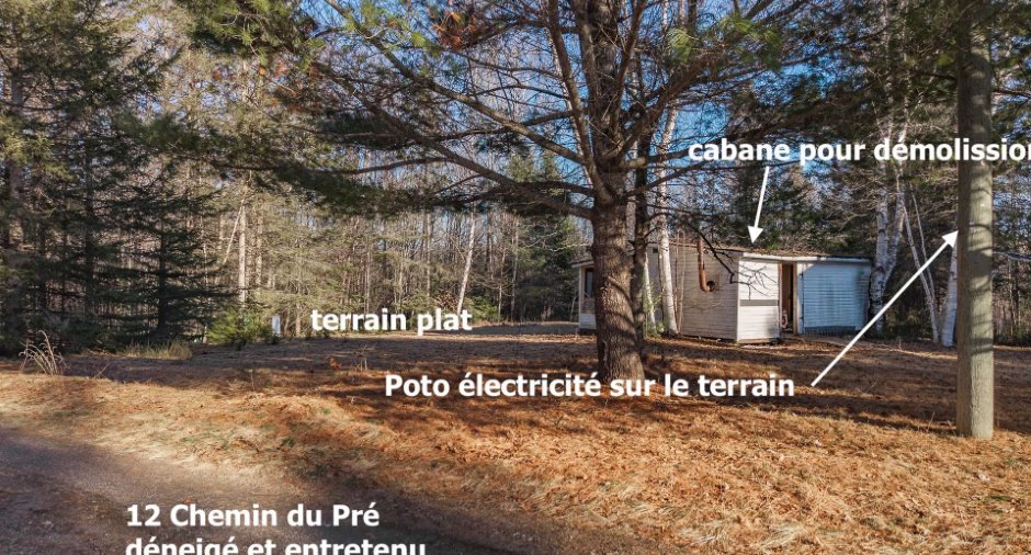 Terre/Terrain