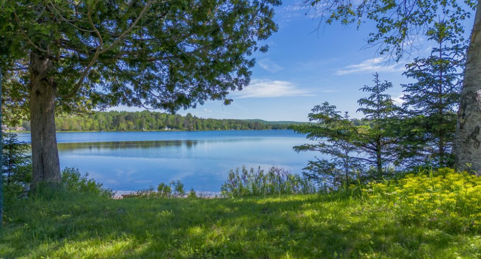 Vue sur l'eau