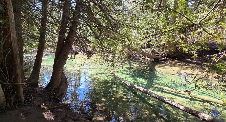 Bord de l'eau