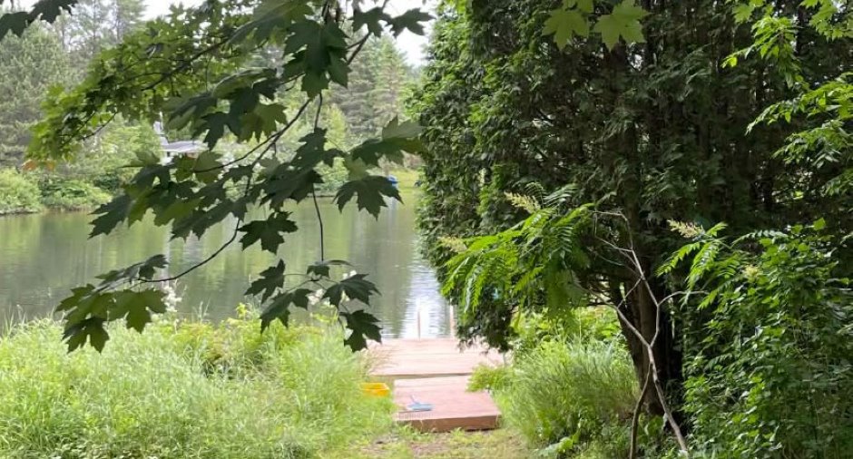 Vue sur l'eau