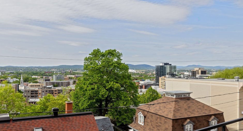 Vue