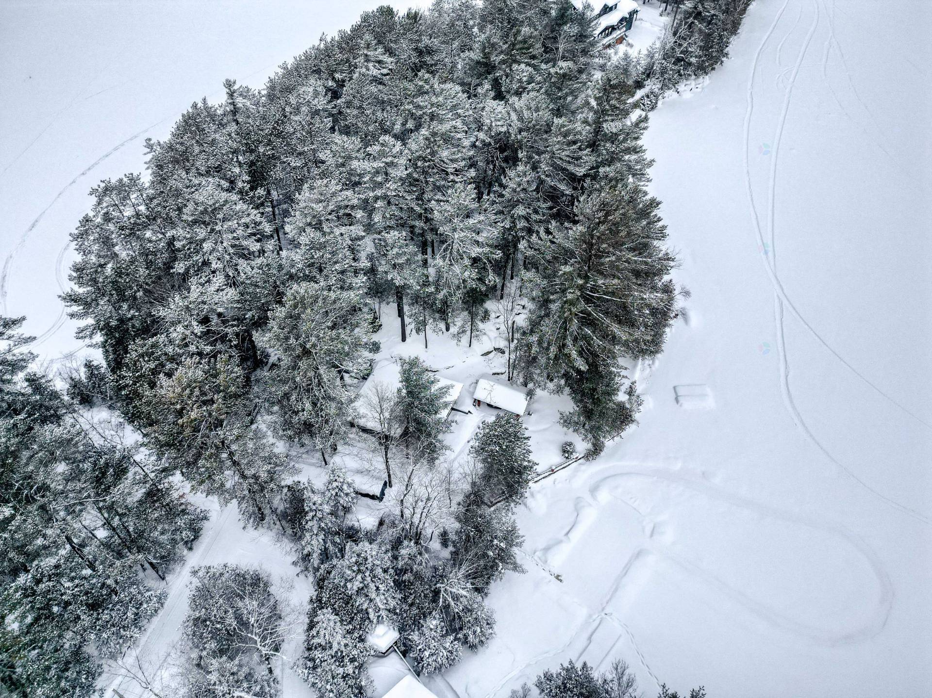Aerial photo