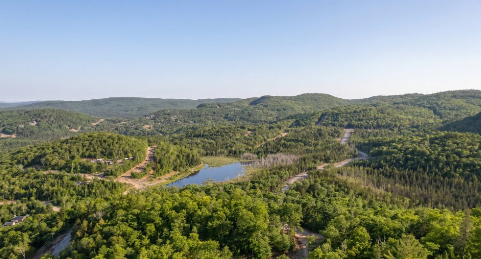 Land/Lot