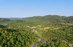 Land/Lot