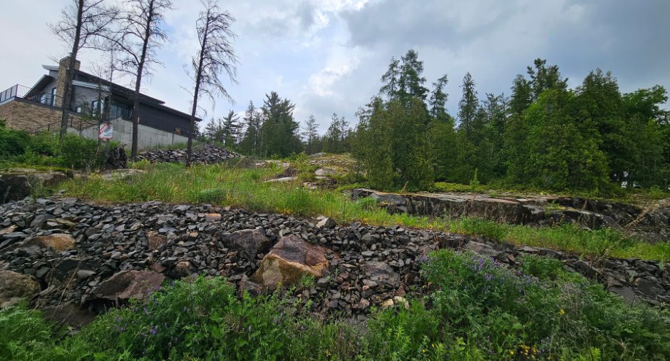 Terre/Terrain