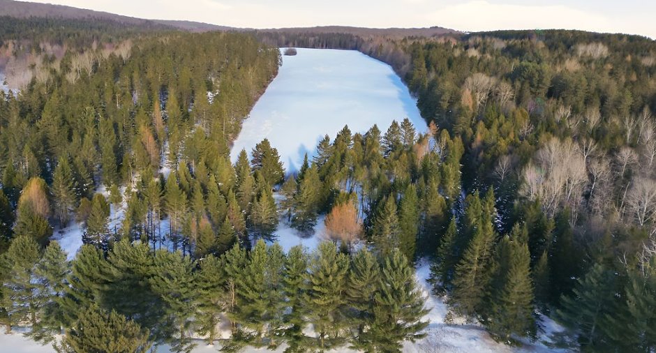 Aerial photo