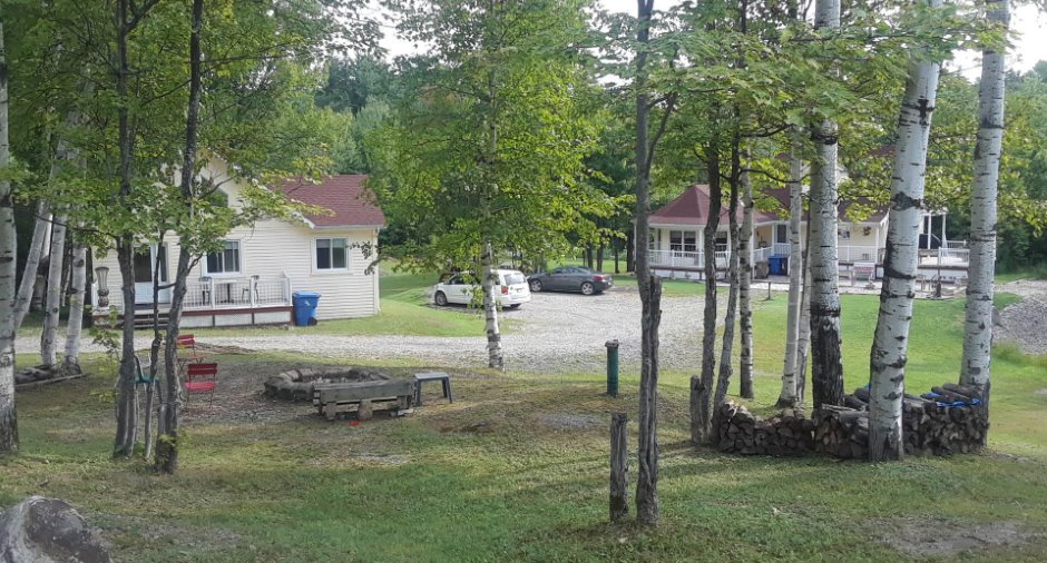 Overall View