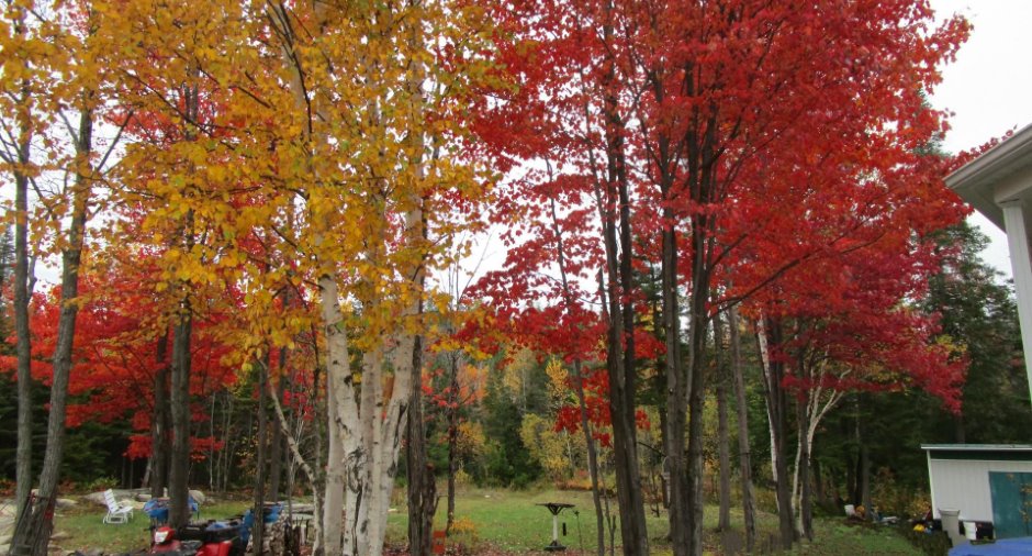 Overall View