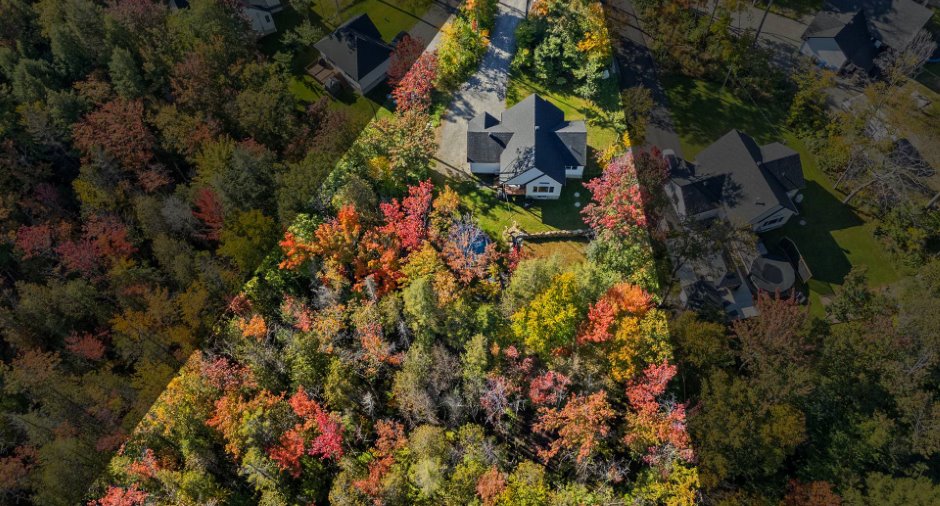 Vue