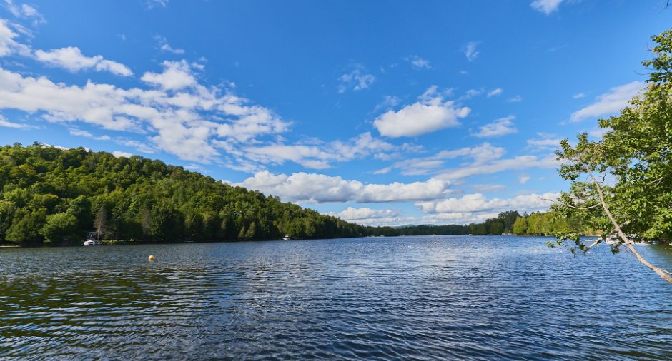 Bord de l'eau