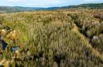 Terre/Terrain