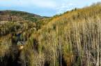 Terre/Terrain