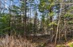 Terre/Terrain
