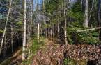 Terre/Terrain