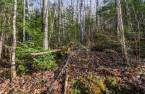 Terre/Terrain