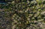Terre/Terrain