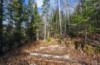 Terre/Terrain