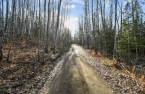 Terre/Terrain