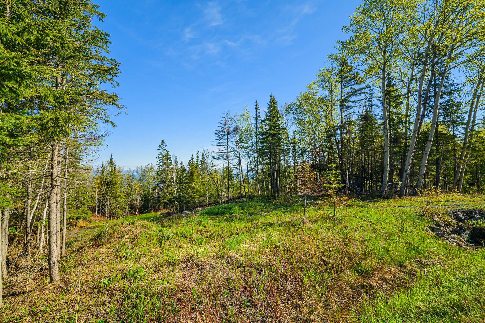 Land/Lot