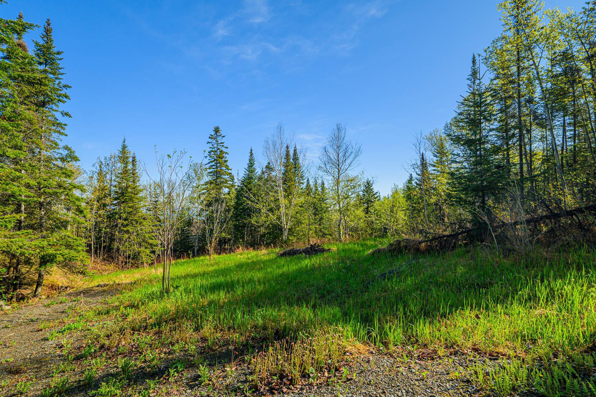 Land/Lot