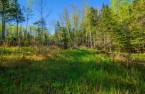 Terre/Terrain
